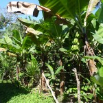 spanish-schools-guatemala-rural