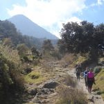 hiking-volcan-santiaguito-xela