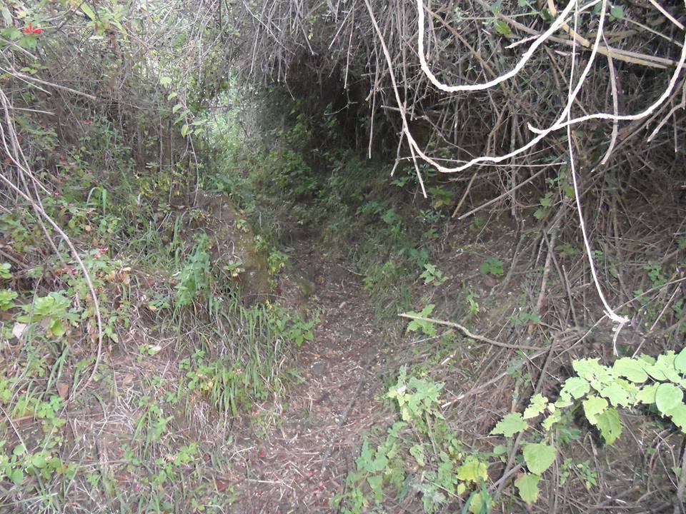 path-cerro-quemado-hike-quetzaltenango