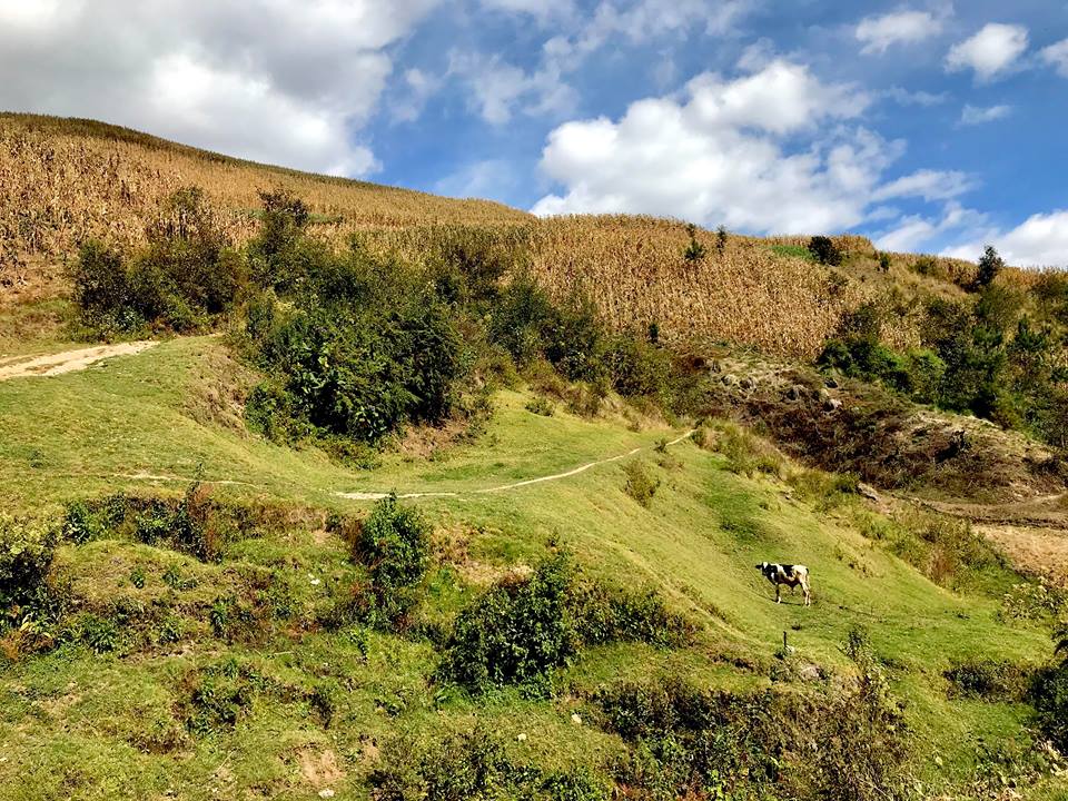 trekking-xela-lake-atitlan-san-pedro