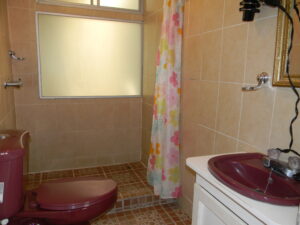 Baño y ducha del estudio apartamento
