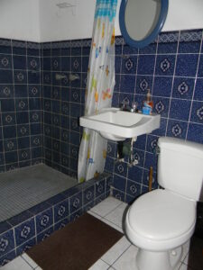 Baño y ducha de la planta baja